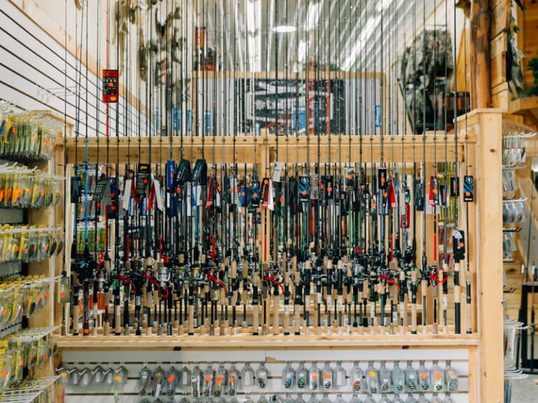 Hunting in Montana : 2025 Nonresident Application Guide visual data 8